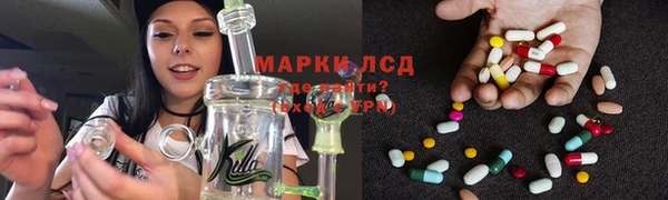 крисы Богородицк