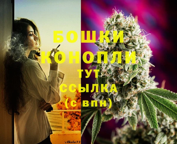MESCALINE Белокуриха
