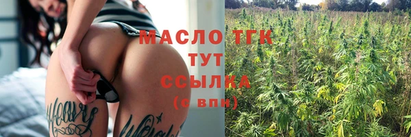 крисы Богородицк