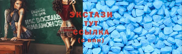 крисы Богородицк